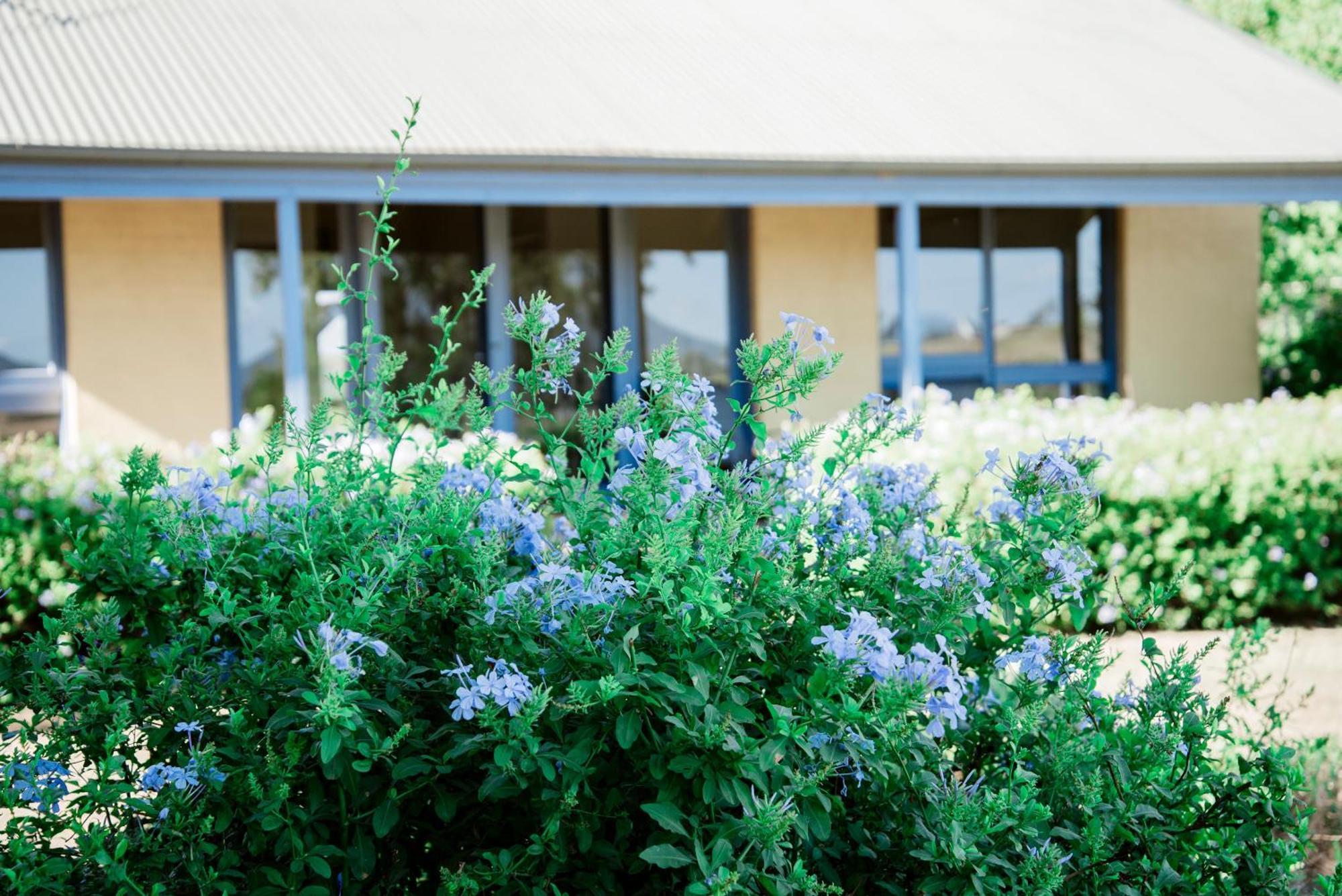 Tranquil Vale Vineyard Hotel Luskintyre Екстериор снимка