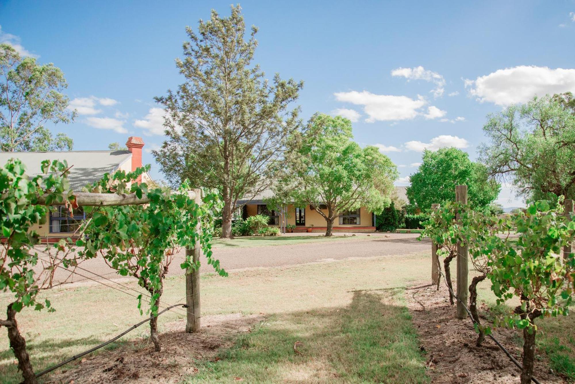 Tranquil Vale Vineyard Hotel Luskintyre Екстериор снимка