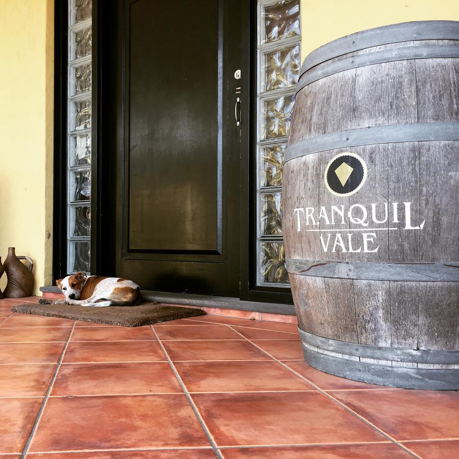 Tranquil Vale Vineyard Hotel Luskintyre Екстериор снимка