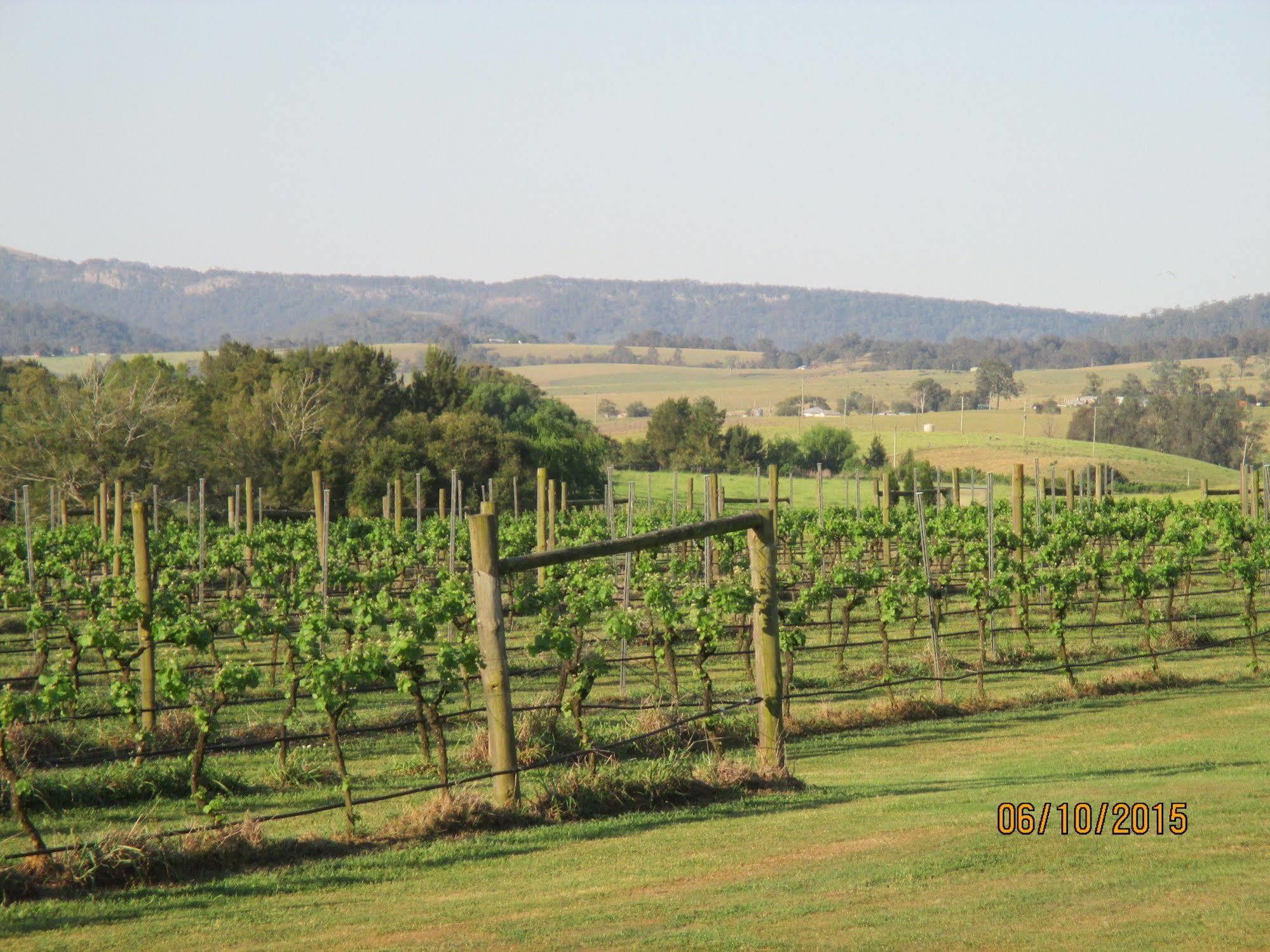 Tranquil Vale Vineyard Hotel Luskintyre Екстериор снимка