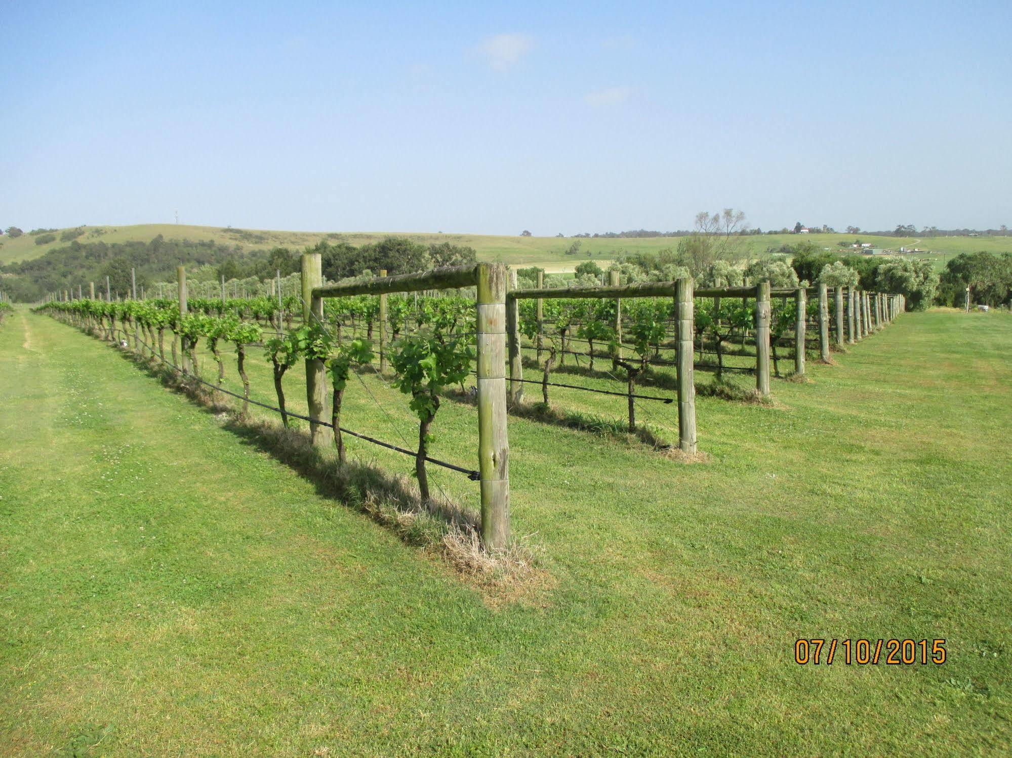 Tranquil Vale Vineyard Hotel Luskintyre Екстериор снимка